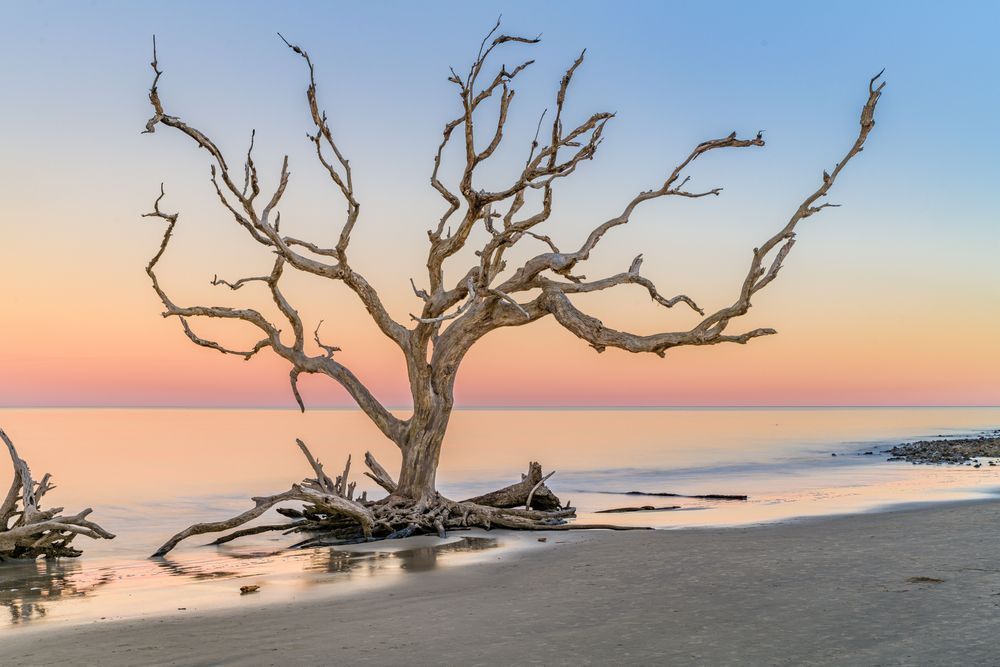 Pastel Paradise Photography Art | kramkranphoto