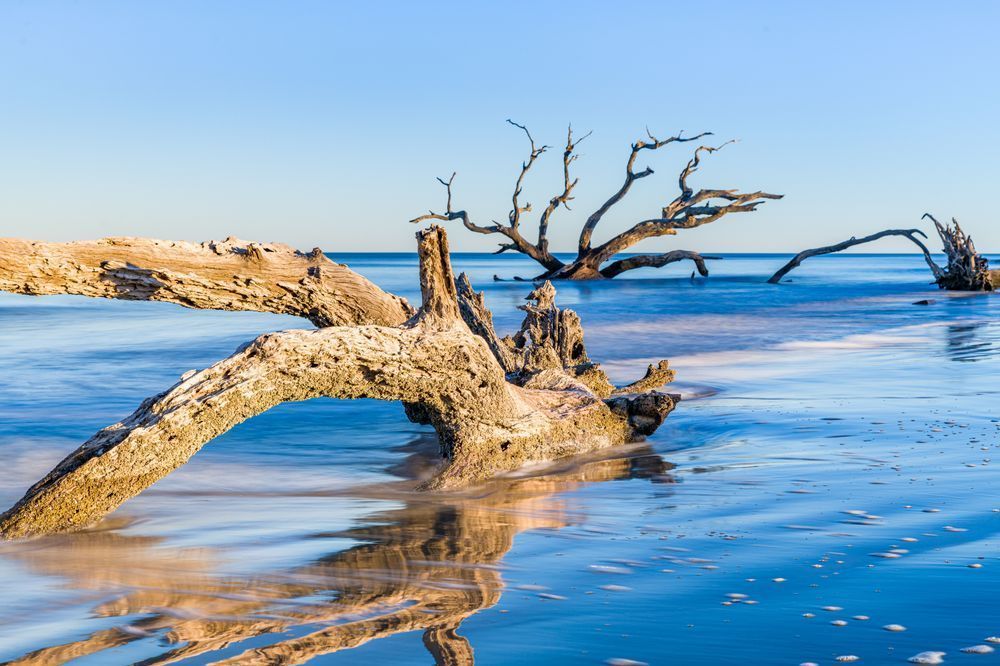 Jekyll Jam Photography Art | kramkranphoto