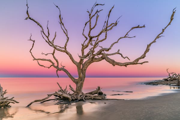 Eventide Photography Art | kramkranphoto