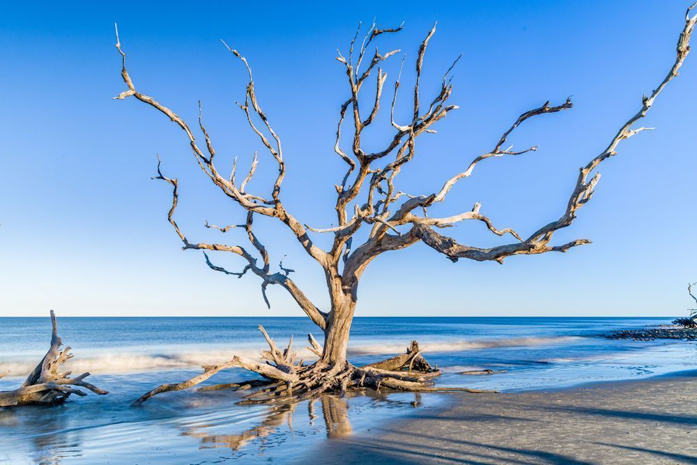 Jekyll Island Photography Art | kramkranphoto