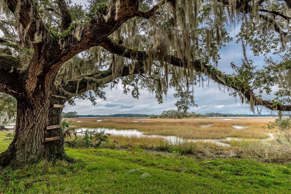 The Treehouse Photography Art | kramkranphoto