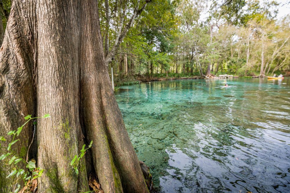 Ginnie Springs Photography Art | kramkranphoto