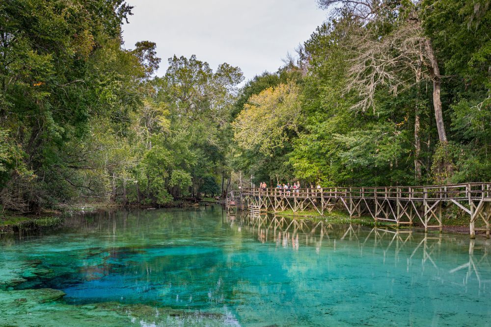 Gilchrist Blue Springs Paradise Photography Art | kramkranphoto