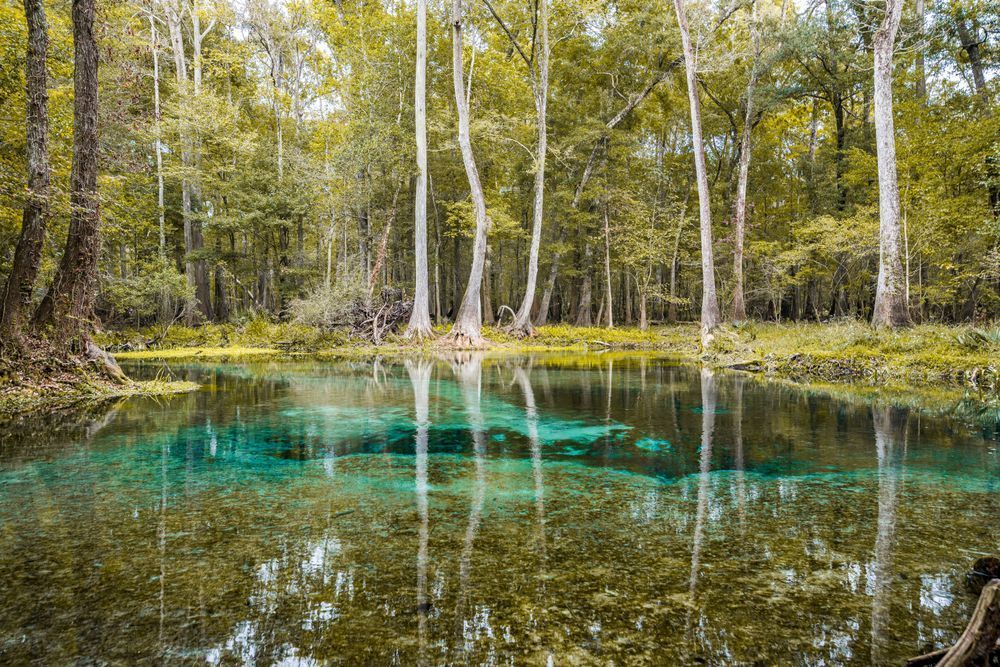 Blue Springs Photography Art | kramkranphoto