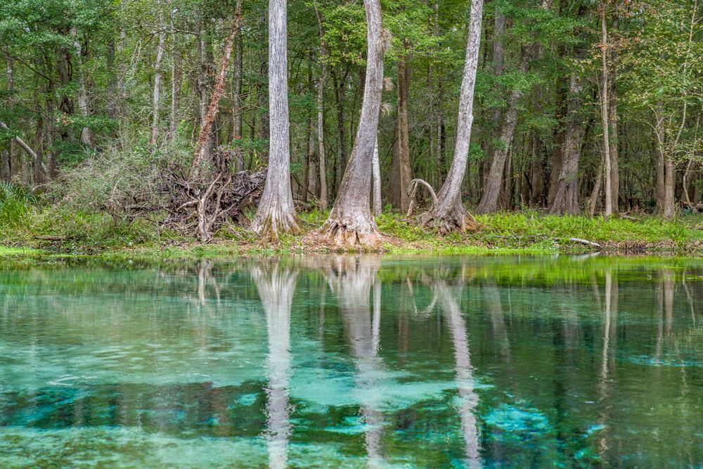 Clearly Reflecting Photography Art | kramkranphoto