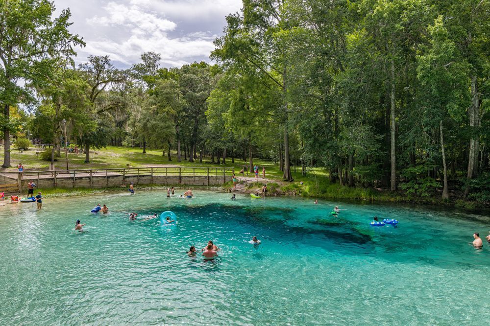 Time For A Swim! Photography Art | kramkranphoto