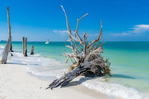 Mdawmdawmdawmdaw7qgraepd6cacehr zcfbfywxu2fyveayeunrgwctqqqltnerwweter6yomfiojy24adow ljj7f22f2vd2s3k0fn 38ezqodftc2xeuhdjufahdziomokxodj3hs jg da6ji5eudq olwagpj5emn5eyxgeued4gli1vx5s sqvtni9i5f564uyfqaxrekayon m61hgra76rhrc e2ijjvmfuwcbyysgcv bqvjy5oqct1uz6ekb88fo8laki518 cw8puwwhhoszvwp  sxhlp 0s7xv5dnixtbkh3ffkumukwgfekoiupa