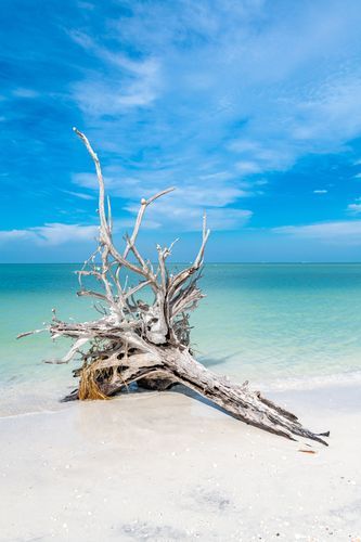 Mdawmdawmdawmdaw7qgraepd6cacehr zcfbfywxu2fyveayeunrgwctqqqltnerwweter6yomfiojy24adow ljj7f22f2vd2s3k0fn 38ezqodftc2xeuhdjufahdziomokxodj3hs jg da6ji5eudq olwagpj5emn5eyxgeued4gli1vx5s sqvtnm0j5f764obd6axrekayon m6xohba76rhrc e2ijjvmfuwcbyysgcv bqvjy5oqct1uz6ekb88fo8laki518 cw8puwwhhoszvwp  sxhlp 0s7xv5dnixuhq8d9mkdji2tcbdqf9xka