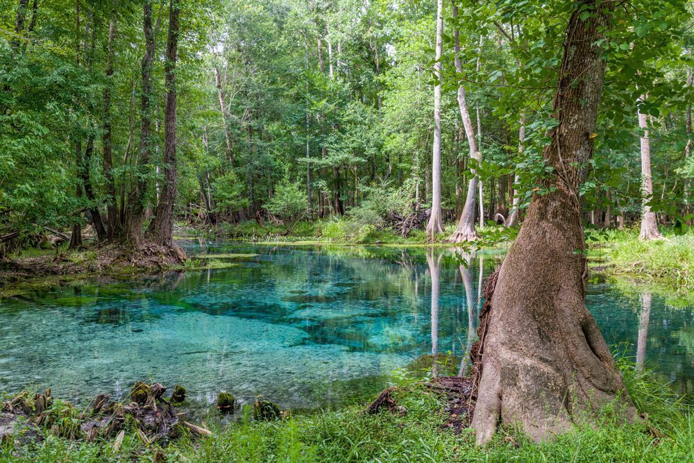 Naked Springs Photography Art | kramkranphoto