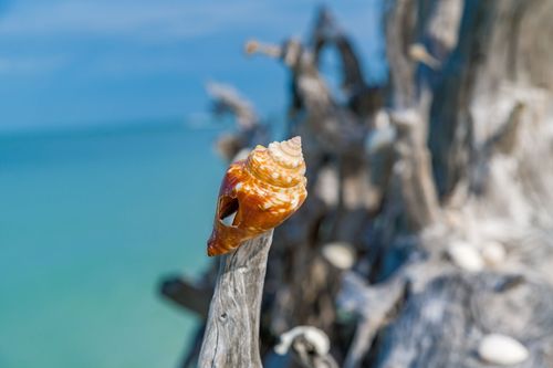 Mdawmdawmdawmdaw7qgraepd6cacehr zcfbfywxu2fyveayeunrgwctqqqltnerwweter6yomfiojy24adow ljj7f22f2vd2s3k0fn 38ezqodftc2xeuhdjufahdziomokxodj3hs jg da6ji5eudq olwagpj5emn5eyxgeued4gli1vx5s sqvtnc2l5f 75exxawxrekbw4jxna1jhra76rhrc e2ijjvmfuwcbyysgcv bqvjy5oqct1uz6ekb88fo8laki518 cw8puwwhhoszvwp  sxhlp 0s7xv5dnix7eisovxbmk144rzhmpv7vw