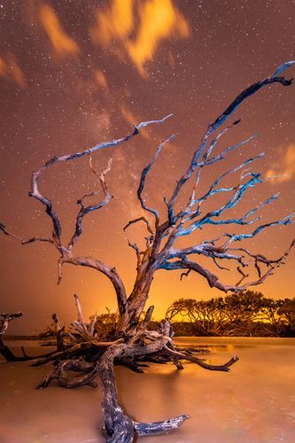 Mdawmdawmdawmdaw7qgraepd6cacehr zcfbfywxu2fyveayeunrgwctqqqltnerwweter6yomfiojy24adow ljj7f22f2vd2s3k0fn 38ezqodftc2xeuhdjufahdziomokxodj3hs jg da6ji5eudq olwagpj5emn5eyxgeued4gli1vx5s sqvtw5werdir9o9v evtibjncmw9vqbslyw7pn4eex6ygqp36vslbujwuxwsb3 frtg7cd1us swvi zmb2lrs3ltwwqo8gdy u x8rzjhrshl4mldi b98qb9g vmmzzynro8atelunfddxo03h6uc6aco3zxmdehp