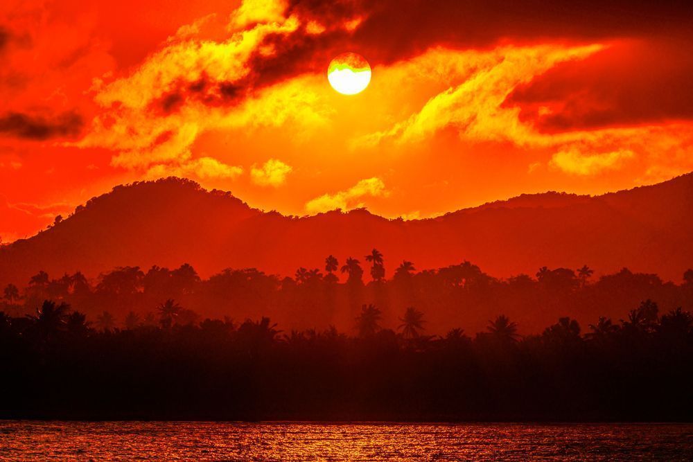 Tropical Treasures Photography Art | kramkranphoto