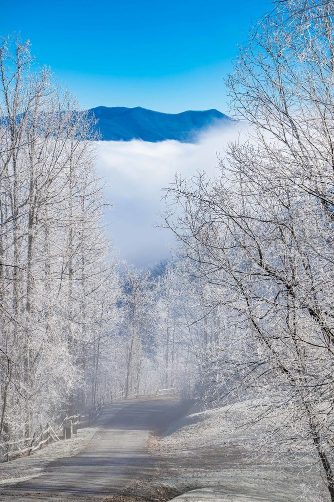 Winter Wonderland Photography Art | kramkranphoto