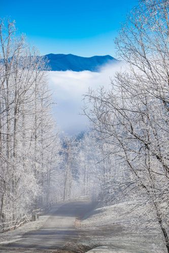 Mdawmdawmdawmdaw7qgraepd6cacehr zcfbfywxu2fyveayeunrgwctqqqltnerwweter6yomfiojy24adow ljj7f22f2vd2s3k0fn 38ezqodftc2xeuhdjufahdziomokxodj3hs jg da6ji5eudq olwagpj5emn5eznyczd 4dmk dr9n1zeirxuojp4lrmzpv dbg7eemyrwhqhjgg9krep8eutskincylh9d6oyub0c rvgfqf65mz0hnt90l8zzy08vfo3mc6uw9keawgv8x8chsnrgekhz m0ruwtbedi4rfvmzws8yurbx5mmq0m tpqblfsm 8