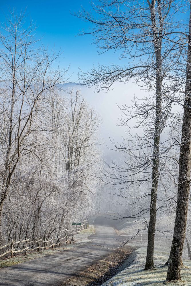 Franklin Trip 2021 2022 9105 Photography Art | kramkranphoto