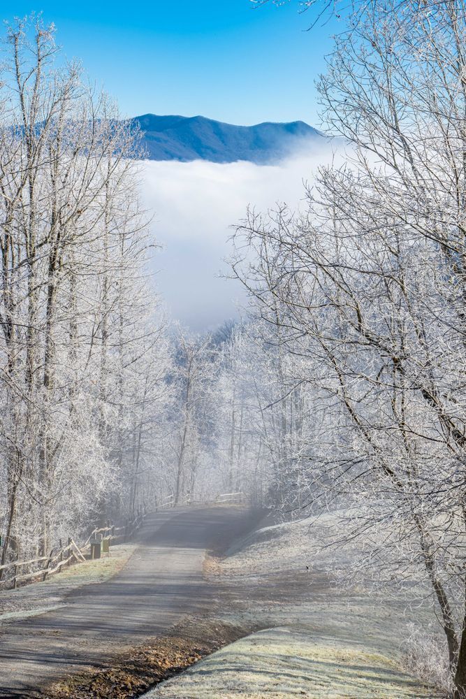 Mountain Winter Wonderland Photography Art | kramkranphoto