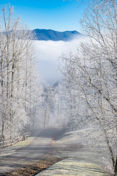 Mountain Winter Wonderland Photography Art | kramkranphoto