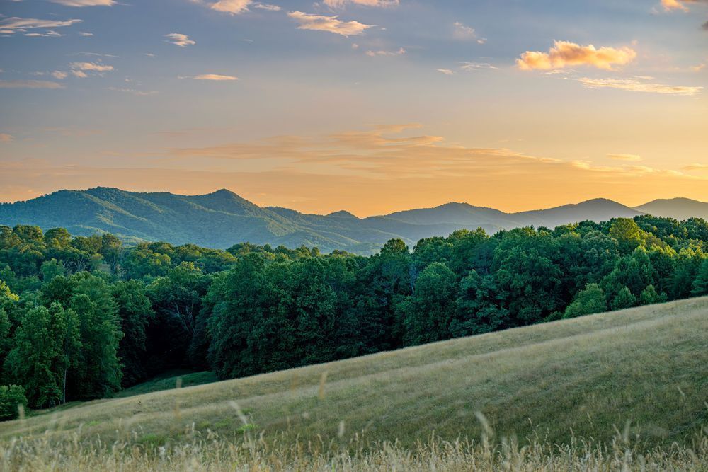 Franklin View Photography Art | kramkranphoto