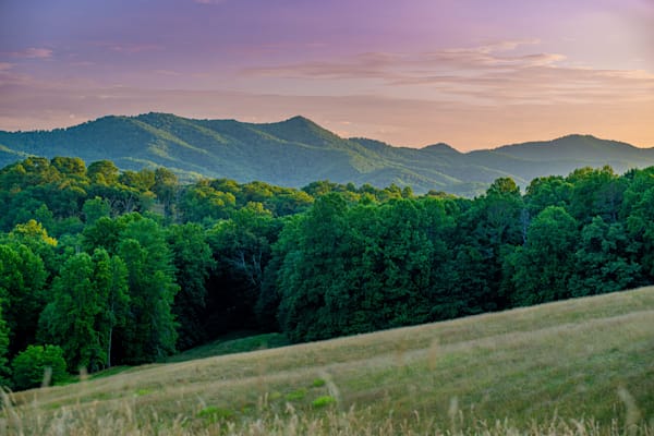 Franklin Deer In The Field Photography Art | kramkranphoto