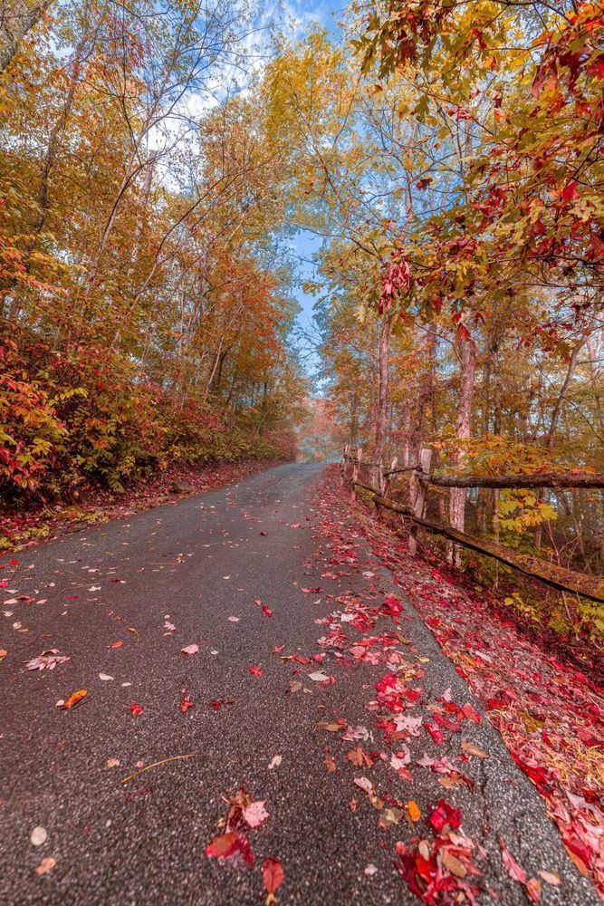 Fall In Franklin Photography Art | kramkranphoto