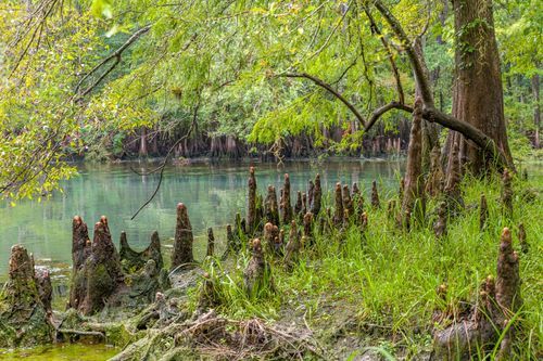 Mdawmdawmdawmdaw7qgraepd6cacehr zcfbfywxu2fyveayeunrgwctqqqltnerwweter6yomfiojy24adow ljj7f22f2vd2s3k0fn 38ezqodftc2xeuhdjufahdziomokxodj3hs jg da6ji5eudq olwagpj5emn5edxocz932p26adr9t7dbnizzszumlrn5qupj1hrxdhdbmmk9ohgtmq t9fvuoidqzxr rcbc9tqgv4atsa7x85dslbhxdif4iejjutej5nmqqro8qdyuy xenmp zf0whe 1hs0e9ga1q7hrvflwy 3onjhxfznwmpzjffjkweq