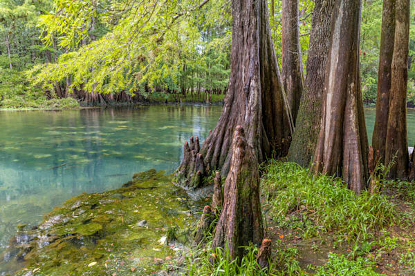 Seminole Sights Photography Art | kramkranphoto