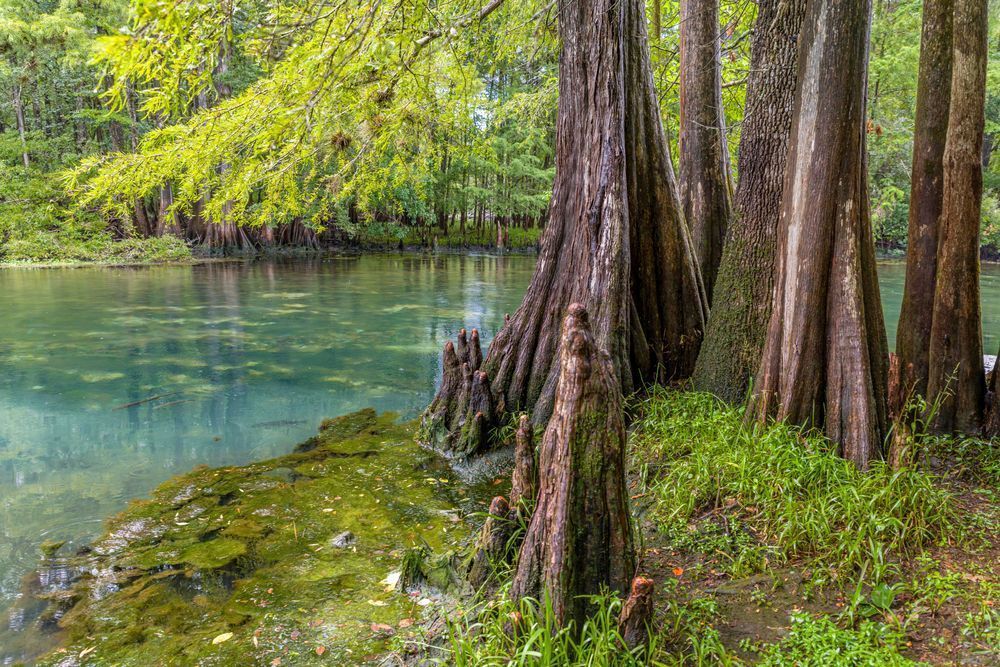 Seminole Sights Photography Art | kramkranphoto