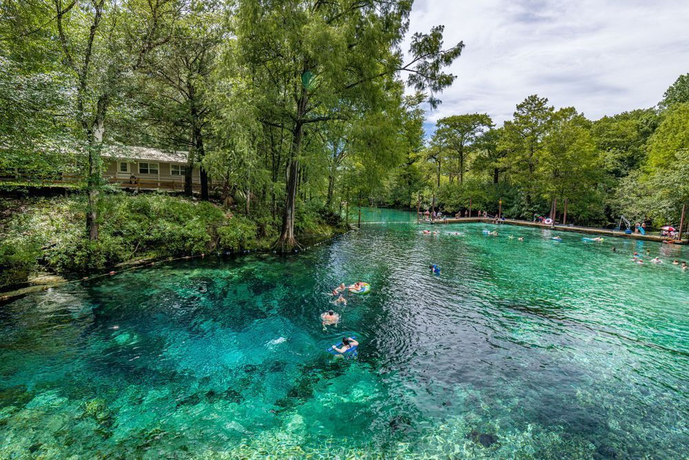 Fanning Springs In The Summer Photography Art | kramkranphoto