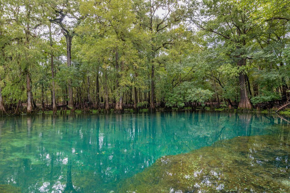 Manatee Springs Photography Art | kramkranphoto