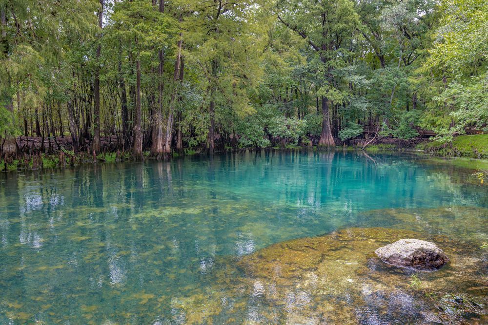 Manatee Springs Photography Art | kramkranphoto
