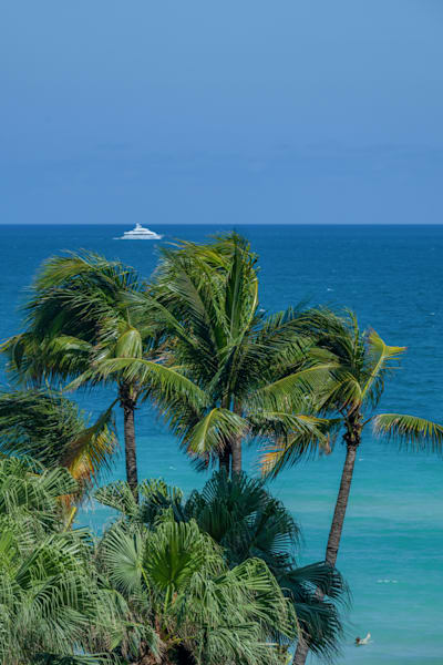 Florida Vibes Photography Art | kramkranphoto