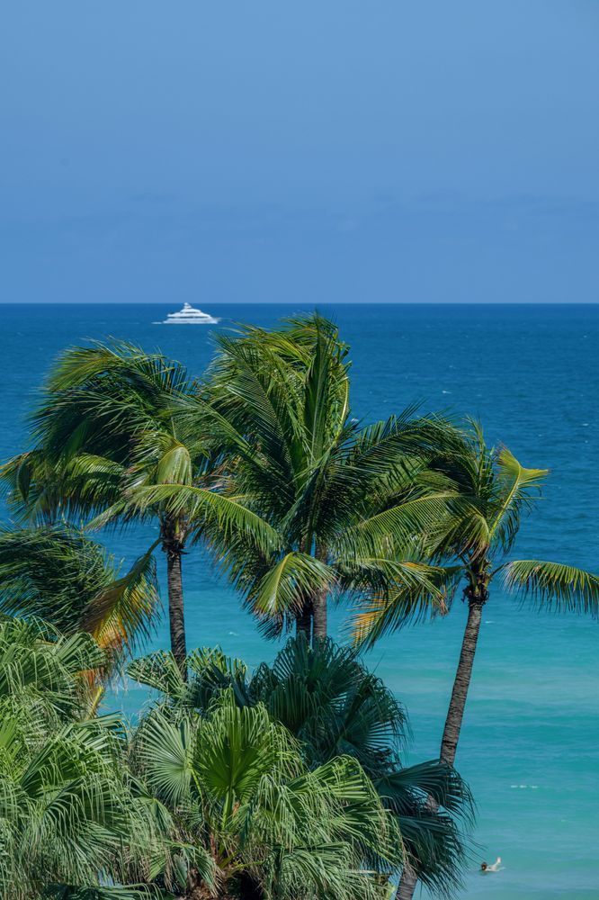 Florida Vibes Photography Art | kramkranphoto