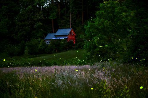 Mdawmdawmdawmdaw7qgraepd6cacehr zcfbfywxu2fyveayeunrgwctqqqltnerwweter6yomfiojy24adow ljj7f22f2vd2s3k0fn 38ezqodftc2xeuhdjufahdziomokxodj3hs jg da6ji5eudq olwagpj5emn5efw xan 4bu61zgjiwmdkeil8sa95 rq2bkx aldlrcawn7rhawxhqolkcudvywxdkpmyc7x8d1llpvc kougvyzttcmeh78kzymibqz6h8qyrsrtqzdfrk0ezn67tqwzbf16s0ggba1g uwaai n jcvsukjrk82g1dh9buadmeqplv o5fc00ayqbu3yv7oly4iga