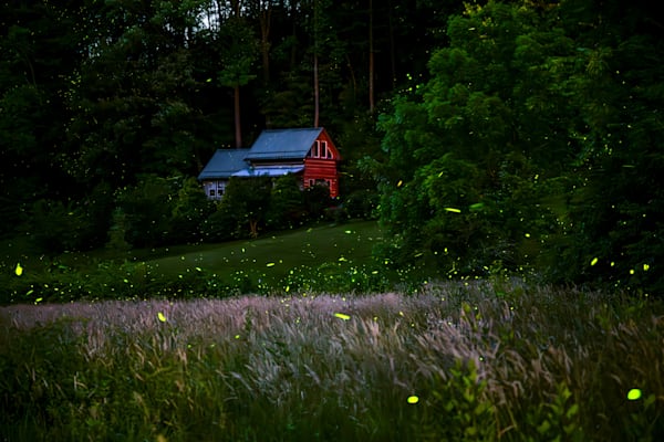 Twilight Of The Firefly Photography Art | kramkranphoto