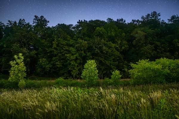 Firefly Meadow Photography Art | kramkranphoto