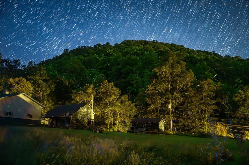 Firefly Mountain Photography Art | kramkranphoto