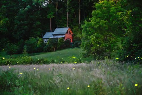 Mdawmdawmdawmdaw7qgraepd6cacehr zcfbfywxu2fyveayeunrgwctqqqltnerwweter6yomfiojy24adow ljj7f22f2vd2s3k0fn 38ezqodftc2xeuhdjufahdziomokxodj3hs jg da6ji5eudq olwagpj5emn5efw xan 4bu61zgjiwmdkeil8sa95 rq2bkx aldlrcawn7rhawxhqolkelr2jcdin7lunodkb11nofm1mb9j7iorhjruyvmjcy0 gwfhnmixqy8gdjjf92qknp zabb4orzi alrgeodvewri9l6viudpg56dpkpua6graddzizuhtjfn5a6ukeh3qwtcfjj