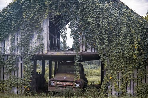 Mdawmdawmdawmdaw7qgraepd6cacehr zcfbfywxu2fyveayeunrgwctqqqltnerwweter6yomfiojy24adow ljj7f22f2vd2s3k0fn 38ezqodftc2xeuhdjufahdziomokxodj3hs jg da6ji5eudq olwagpj5emn5fcxkaadrwp3 lzb1p5ctcbbs9o wls9lsv wzwet1in040fujaq9nrof9eut3z2qvgo24if3xshwb brrckd 6txuuydviaclbmavba9l153bxsrrrdffudqni9susggzbeom6glrbuyor0xho93 vmhy be1ywg0brhkc0su9ufrsww