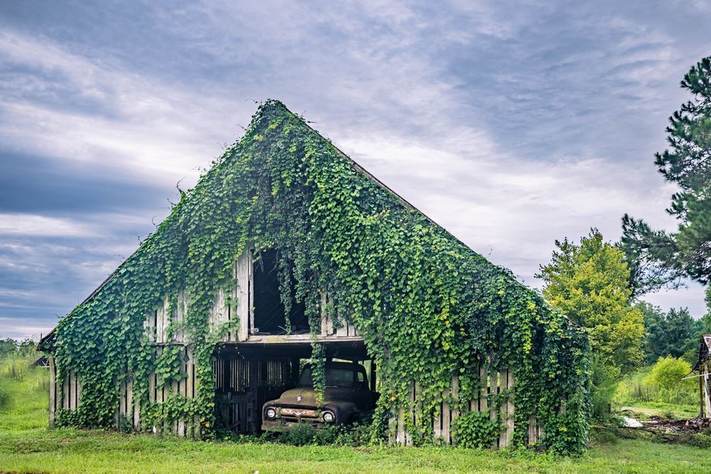 Waycross Way Photography Art | kramkranphoto