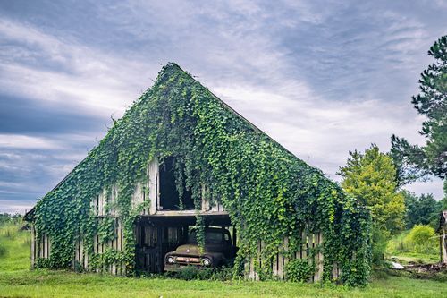 Mdawmdawmdawmdaw7qgraepd6cacehr zcfbfywxu2fyveayeunrgwctqqqltnerwweter6yomfiojy24adow ljj7f22f2vd2s3k0fn 38ezqodftc2xeuhdjufahdziomokxodj3hs jg da6ji5eudq olwagpj5emn5fcxkaadrwp3 lzb1p5ctcbbs9o wls9lsv wzwex1lmon2oaoaq9nrof9eut3z2cvgo24if3xshwb brrckd 6txuuydviaclbmavba9l153bxsrrrdffudqni9susggzbeom6glrbuyor0xho93 vmhy wrkr8nbh k 1cmmedn5sd8