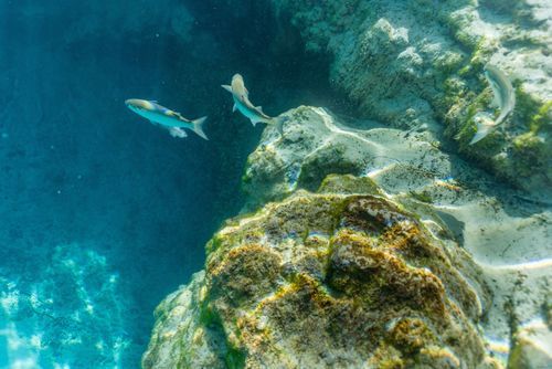 Mdawmdawmdawmdaw7qgraepd6cacehr zcfbfywxu2fyveayeunrgwctqqqltnerwweter6yomfiojy24adow ljj7f22f2vd2s3k0fn 38ezqodftc2xeuhdjufahdziomokxodj3hs jg da6ji5eudq olwagpj5emn5ffxgrzsh4e0m1rrpi7 rrbzzseklkwb4maalsa75el8ewhkfifgko7l ztaet12in3qzsn tkdf5u bnqpfkx 9pmuj3axo89dpylgq5m152isy9fxyyntixhgtskswgze 1 v0wugfti4rfvmctt 9xl8bexurhxqknu4fcj81 4xtydjjouiui a4c