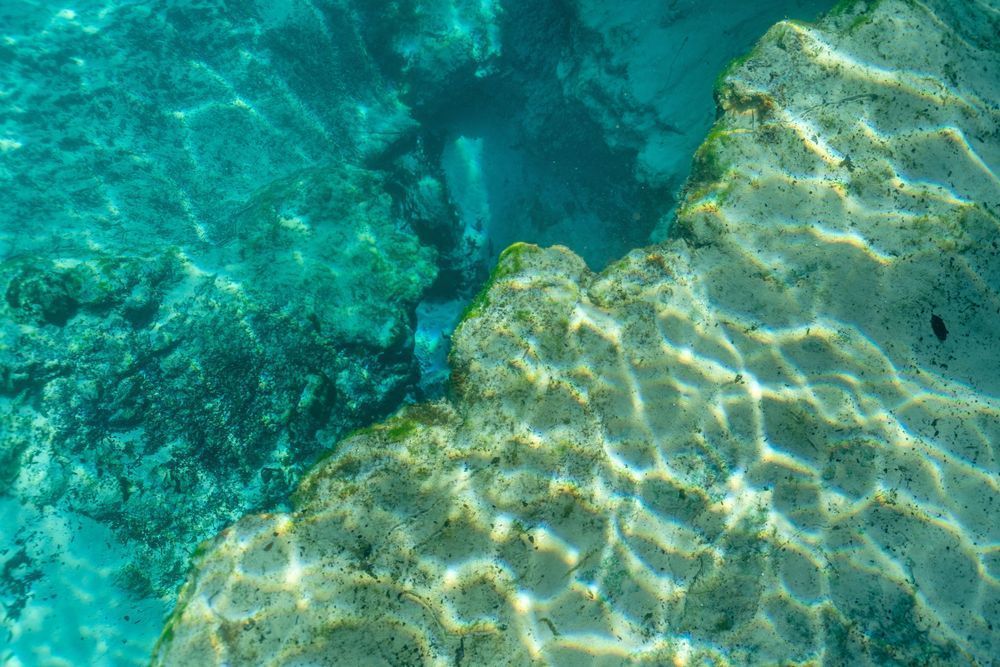 Gilchrist Blue Springs Underwater Photography Art | kramkranphoto