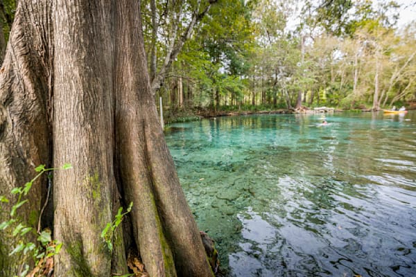 Ginnie Springs Photography Art | kramkranphoto