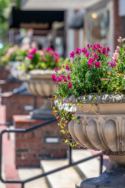 De Land Main Street 4 20 2024 4083 Photography Art | kramkranphoto