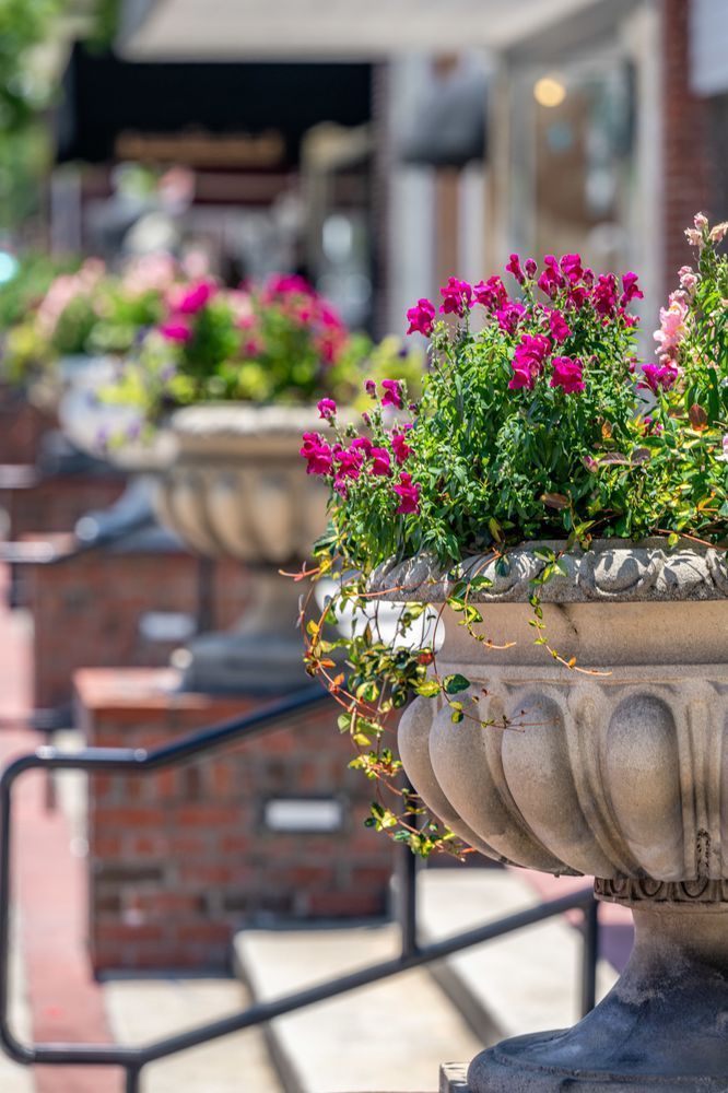 De Land Main Street 4 20 2024 4083 Photography Art | kramkranphoto