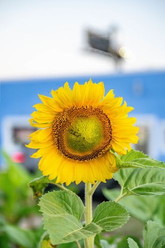 Mdawmdawmdawmdaw7qgraepd6cacehr zcfbfywxu2fyveayeunrgwctqqqltnerwweter6yomfiojy24adow ljj7f22f2vd2s3k0fn 38ezqodftc2xeuhdjufahdziomokxodj3hs jg da6ji5eudq olwagpj5emn5gcwira8dolfscyilw68zwkbdxzkty6rrrspwnwe0awidkn6tnhgen672mslttywqk06vmnofqcuaq4g6vm dn clptyjj2faxy4sjgbm3z ycem5oqjpfrjqjh9cgvl49dbdzs0ihba1q7hrvlcq45dfb7fspxb1xd2no9afbwqqxmazxvd77kpuuew