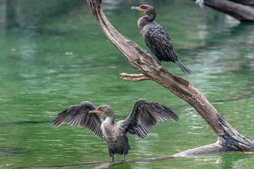 Mdawmdawmdawmdaw7qgraepd6cacehr zcfbfywxu2fyveayeunrgwctqqqltnerwweter6yomfiojy24adow ljj7f22f2vd2s3k0fn 38ezqodftc2xeuhdjufahdziomokxodj3hs jg da6ji5eudq olwagpj5emn5gcxgtynfofe dd1spvjooqxtslrtx p5nvpgqrewex4vxmrcvxllztvs9vbssizvumpc d7i8ub1yqdl2pbzh5nglbmzkwva5y8bgvahwnmcrro8gghpnudqsh9m9sl4ryu8mp3g0nsi3kp1d mhabeve9zmu8q