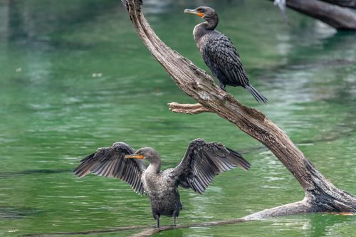 Mdawmdawmdawmdaw7qgraepd6cacehr zcfbfywxu2fyveayeunrgwctqqqltnerwweter6yomfiojy24adow ljj7f22f2vd2s3k0fn 38ezqodftc2xeuhdjufahdziomokxodj3hs jg da6ji5eudq olwagpj5emn5gcxgtynfofe dd1spvjooqxtzl71774lnvpgqrocsx4j nlcvxllztvs9vbssizvumpc d7i8ub1yqdl2pbzh5nglbmzkwva5y8bgvahwnmcrro8gghpnudqsh9m9sl4ryu8mp3g01j5a6ecnuxnkiiasa89ruw