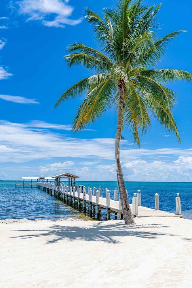 Paradise Photography Art | kramkranphoto