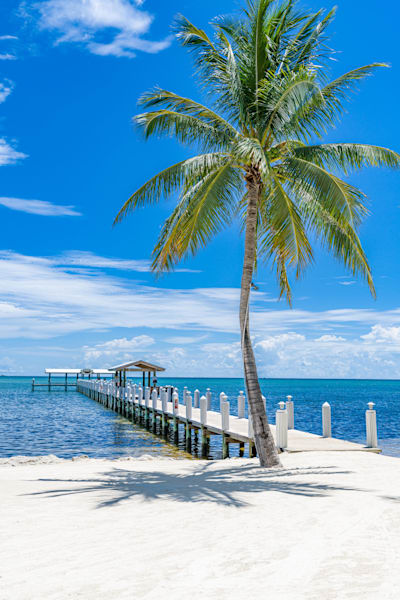 Paradise Photography Art | kramkranphoto